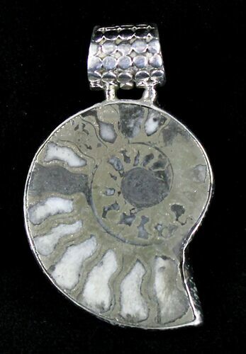 Pyritized Ammonite Fossil Pendant - Sterling Silver #21008